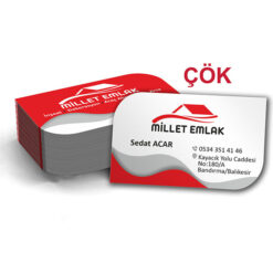 Kabartma Laklı Kartvizit ÇÖK-01