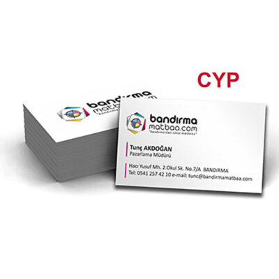 Standart Kartvizit CYP-01