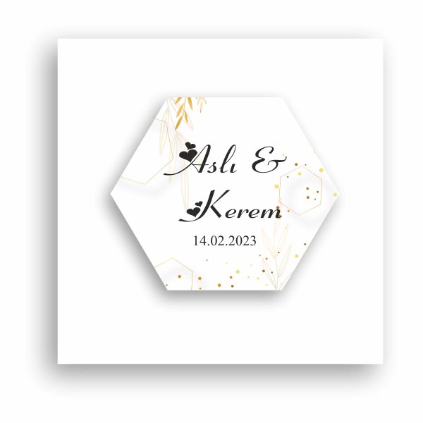 altigen2b Kart Altıgen-02