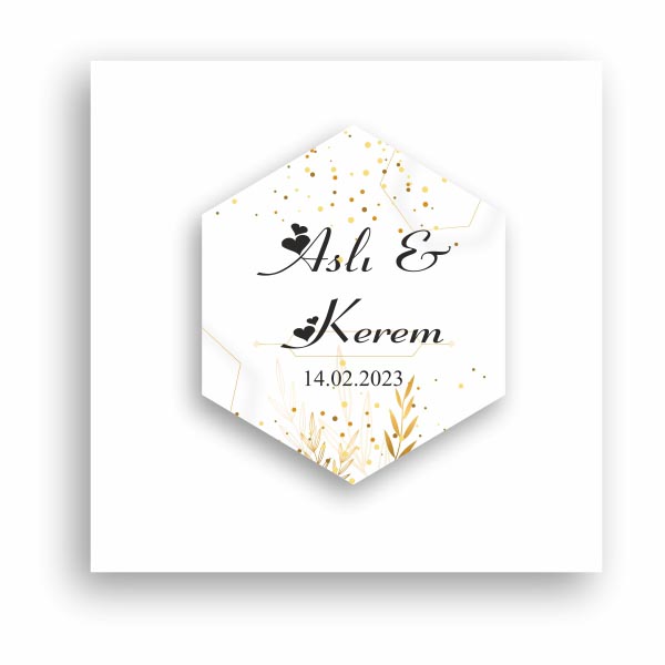 altigen4b Kart Altıgen-04