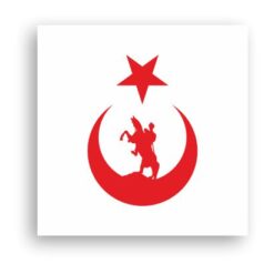 Türk Motifleri Atatürk Bayrak-02