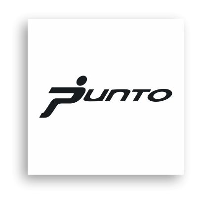 fiat-punto Fiat Punto-01