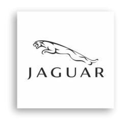 Jaguar Logo-01