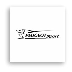 Araba Grupları-Peugeot Sport-01