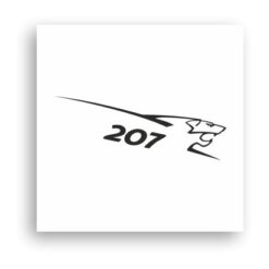 Araba Grupları-Peugeot Sport-02