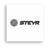 Steyr Logo-01