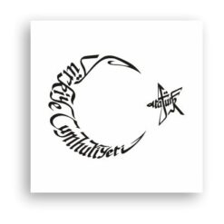 Türk Motifleri Türkiye Cumhuriyeti-01