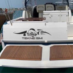 Tekne Arka Sticker Angry Fish-03