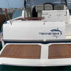 Tekne Arka Sticker Shark-05